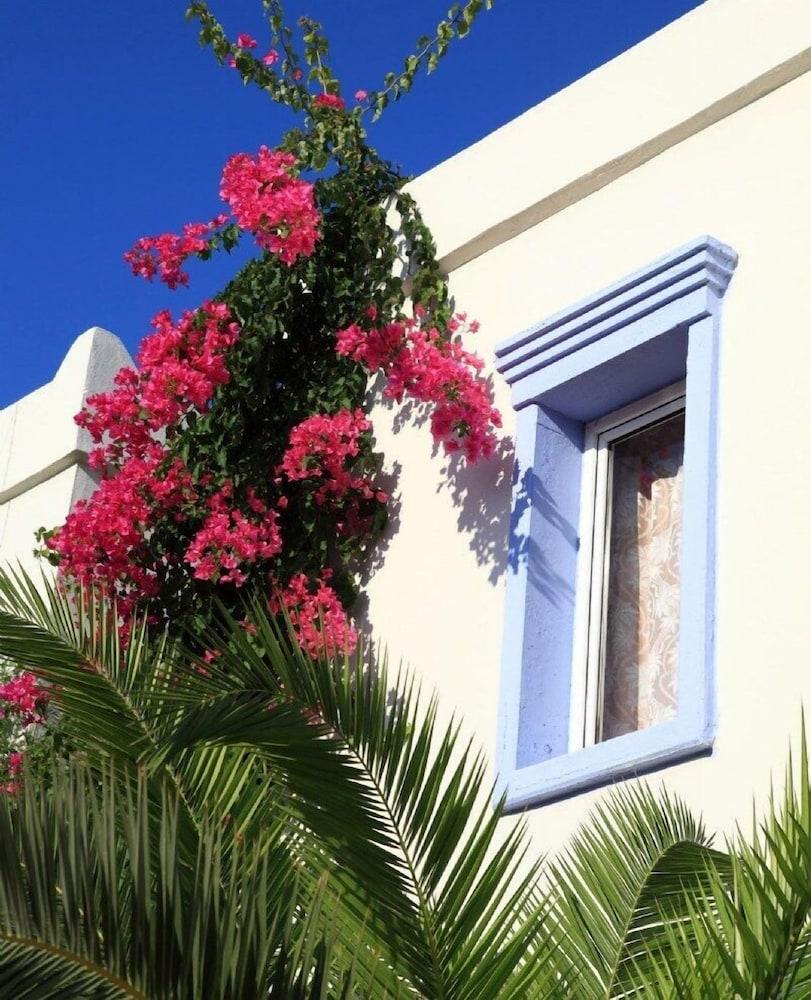 Club Paloma Apartment Gümbet Dış mekan fotoğraf
