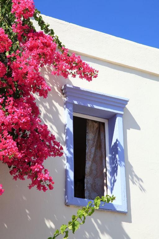 Club Paloma Apartment Gümbet Dış mekan fotoğraf