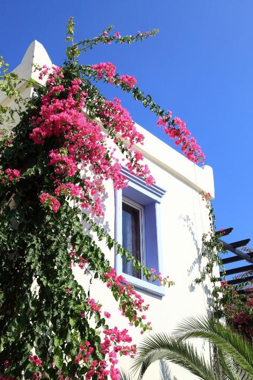 Club Paloma Apartment Gümbet Oda fotoğraf