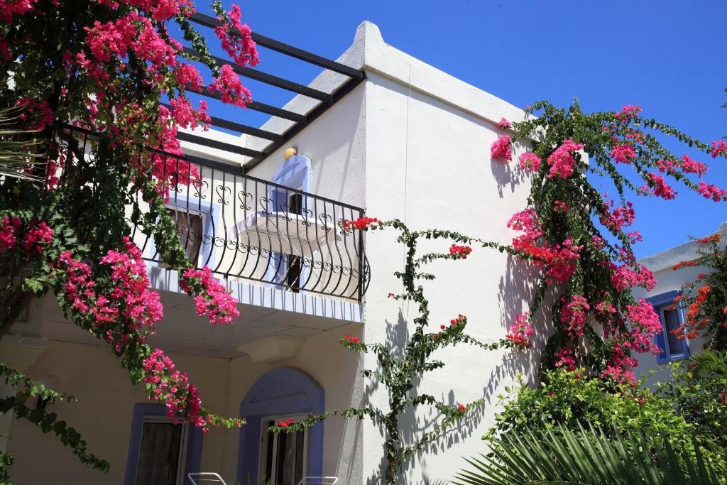 Club Paloma Apartment Gümbet Oda fotoğraf