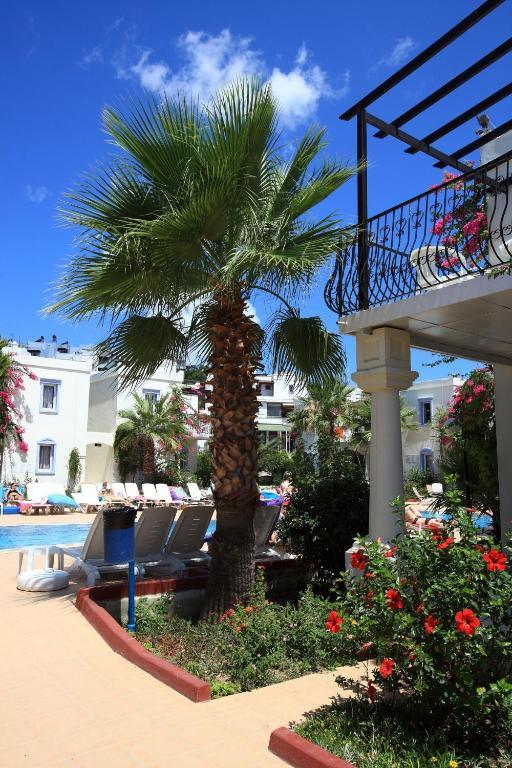 Club Paloma Apartment Gümbet Oda fotoğraf