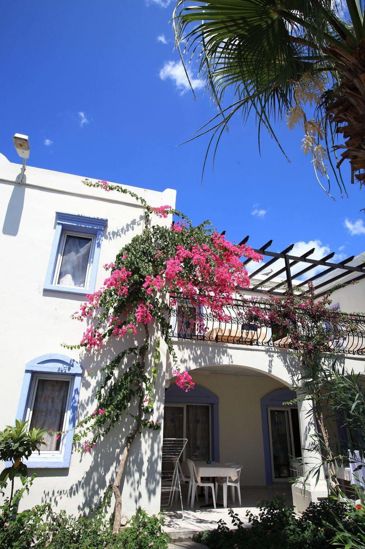 Club Paloma Apartment Gümbet Dış mekan fotoğraf