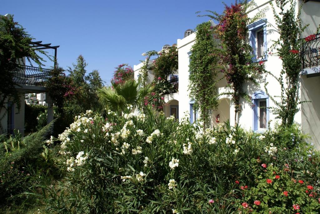 Club Paloma Apartment Gümbet Dış mekan fotoğraf